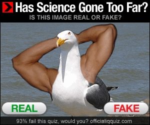 0300_Statistics/image6.png