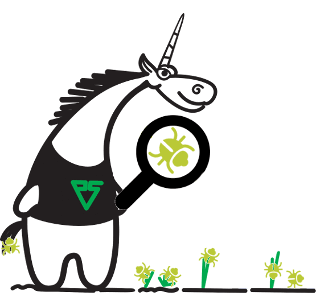 0351_FreeSWITCH/image6.png