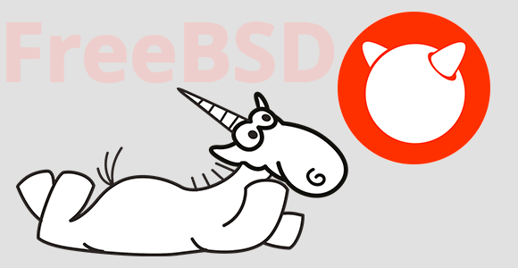 0496_FreeBSD_and_CWE/image1.png