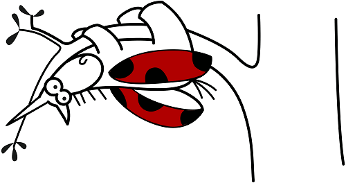 0556_Chromium_4_misprints/image1.png