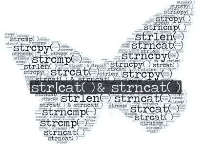 0640_strncat_strlcat/image1.png