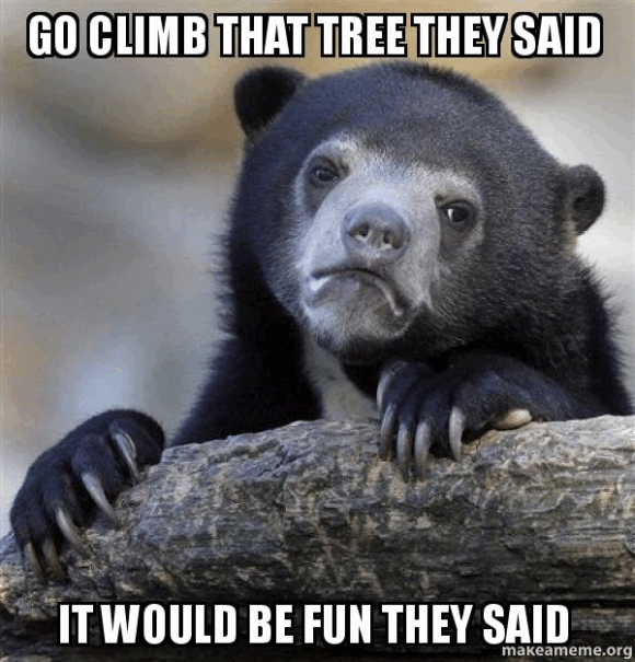 0735_To_cimb_a_tree/image1.png