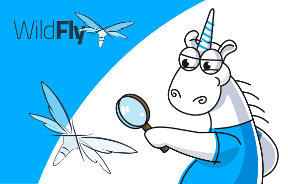 0763_WildFly_Check/image1.png
